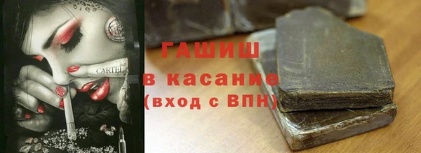 Альфа ПВП Бородино