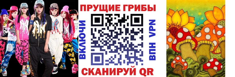 Купить где  Борисоглебск  Галлюциногенные грибы мухоморы 